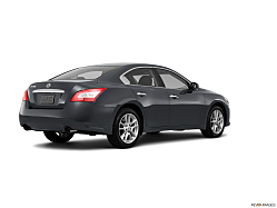 Thumbnail image of 2010 Nissan Maxima at Paradise Motors