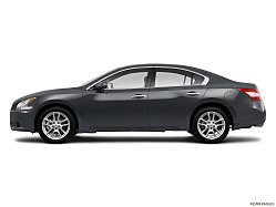 Thumbnail image of 2010 Nissan Maxima at Paradise Motors