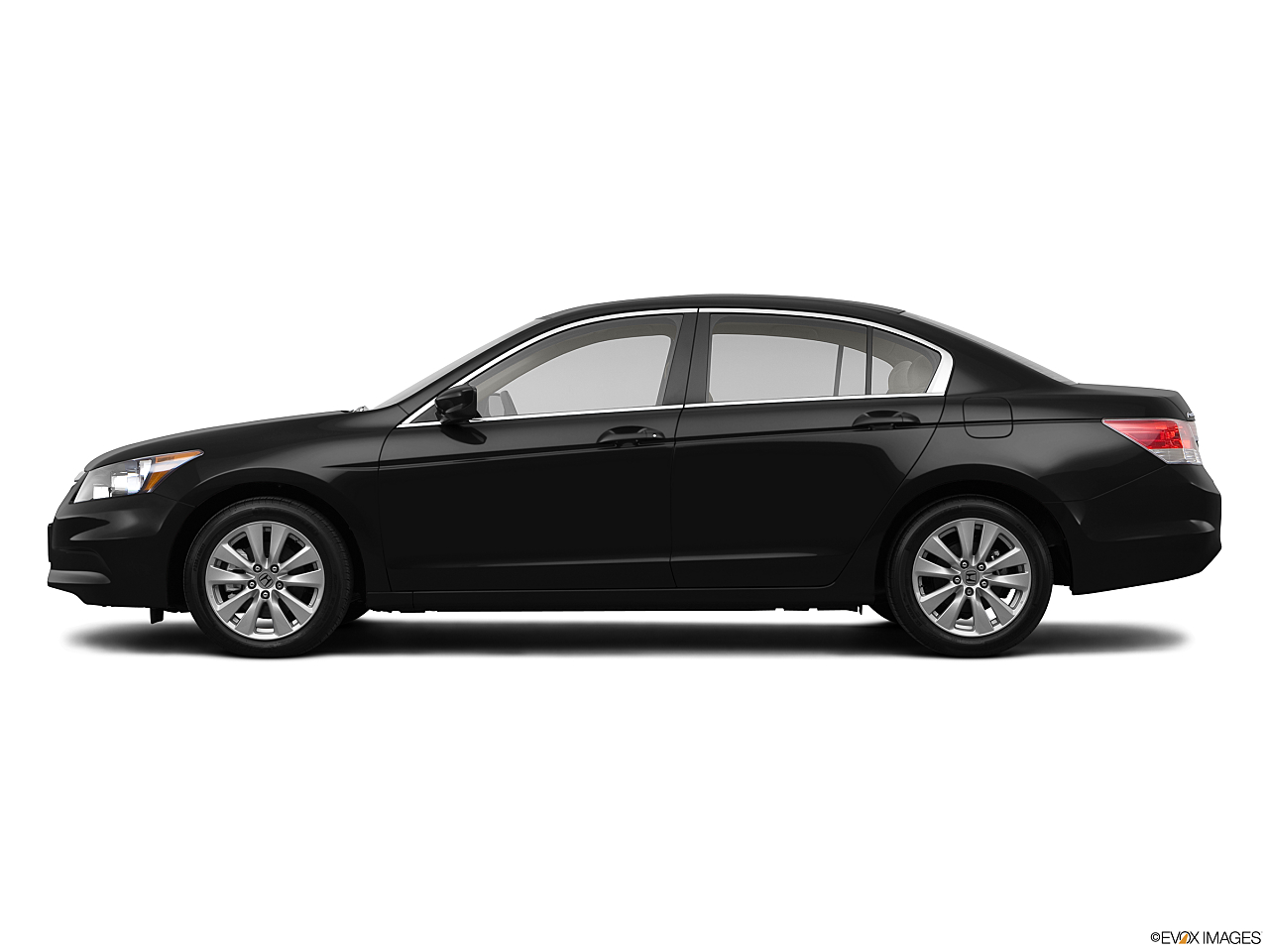 Image of 2011 Honda Accord EX