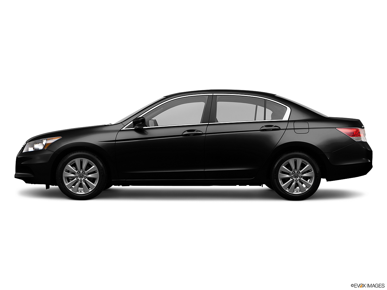 Image of 2012 Honda Accord EX