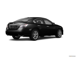 Thumbnail image of 2012 Nissan Maxima at Headquarters Nissan