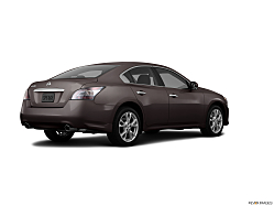 Thumbnail image of 2013 Nissan Maxima at Action Nissan