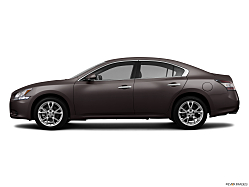 Thumbnail image of 2013 Nissan Maxima at Action Nissan