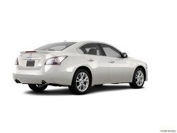 Thumbnail image of 2013 Nissan Maxima at Headquarters Nissan