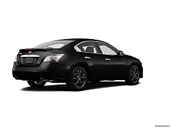 Thumbnail image of 2014 Nissan Maxima at Headquarters Nissan
