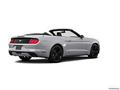 Thumbnail image of 2015 Ford Mustang at Roy O' Brien Ford