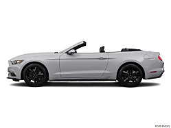 Thumbnail image of 2015 Ford Mustang at Roy O' Brien Ford