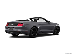 Thumbnail image of 2015 Ford Mustang at Roy O' Brien Ford