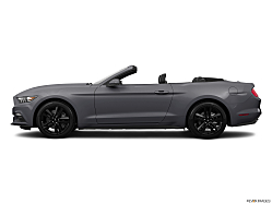 Thumbnail image of 2015 Ford Mustang at Roy O' Brien Ford