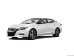 Thumbnail image of 2016 Nissan Maxima at Beechmont Subaru