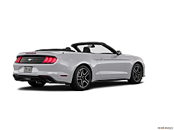 Thumbnail image of 2019 Ford Mustang at Frank Brown Honda GMC