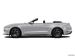 Thumbnail image of 2019 Ford Mustang at Frank Brown Honda GMC