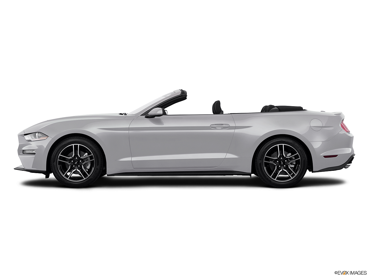 Image of 2019 Ford Mustang EcoBoost Premium