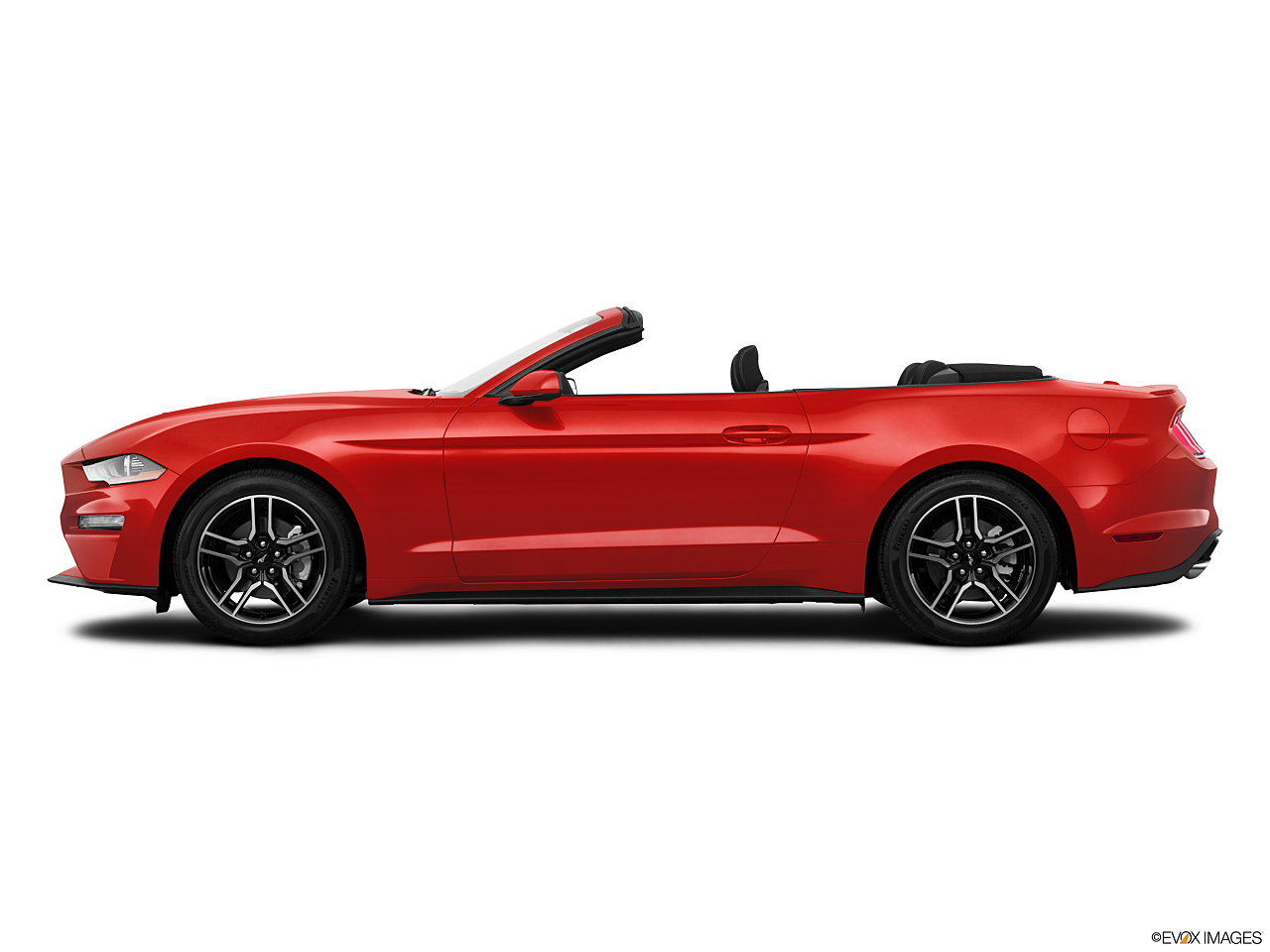 Image of 2019 Ford Mustang EcoBoost Premium