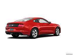 Thumbnail image of 2019 Ford Mustang at Morristown Chevrolet