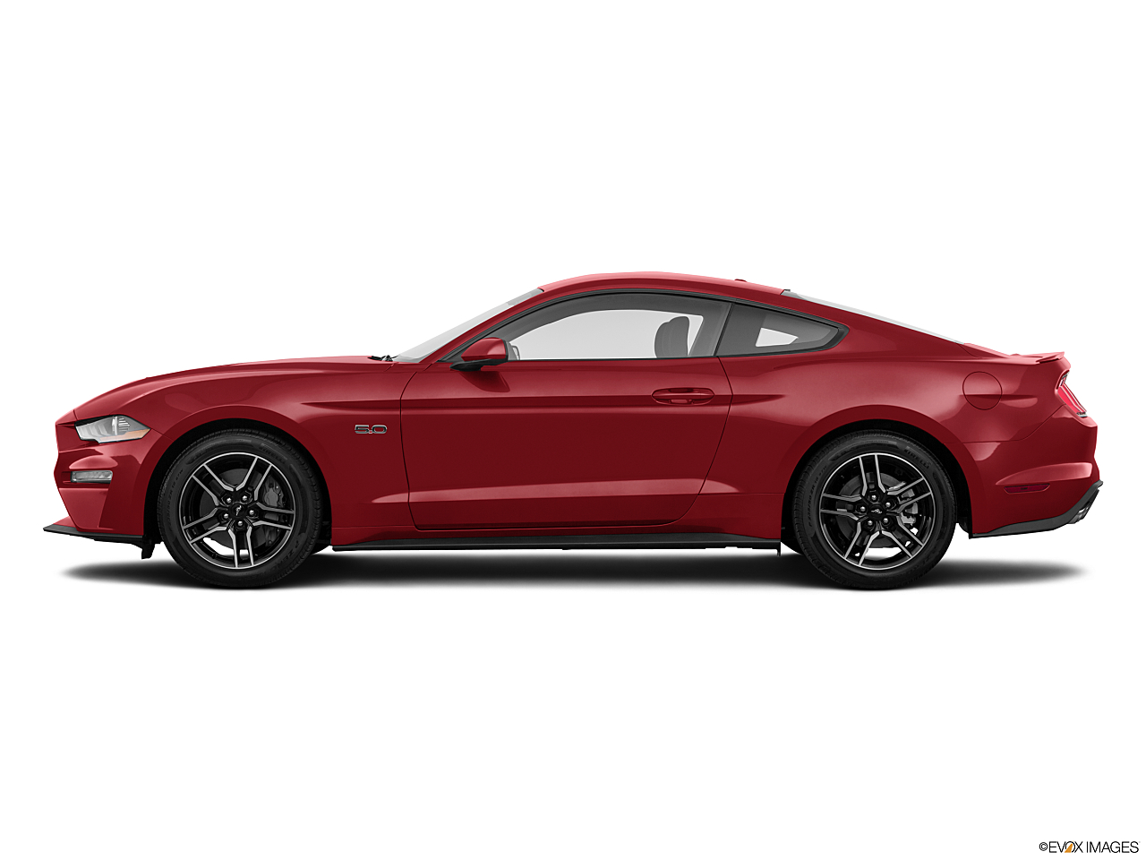 Image of 2019 Ford Mustang GT