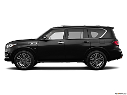 Thumbnail image of 2019 INFINITI QX80 at Action Nissan