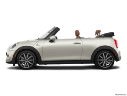 Thumbnail image of 2019 MINI Convertible at Habberstad BMW of Huntington