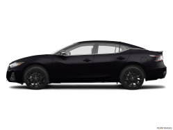 Thumbnail image of 2019 Nissan Maxima at Action Nissan