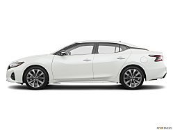 Thumbnail image of 2020 Nissan Maxima at Action Nissan