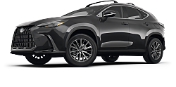 2023 Lexus NX 350 Base