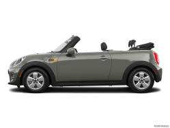 Thumbnail image of 2019 MINI Convertible at Beechmont Volkswagen