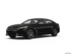 Thumbnail image of 2023 Kia Stinger at Kings Kia