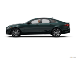 Thumbnail image of 2024 Jaguar XF at Piazza Jaguar Land Rover Willow Grove